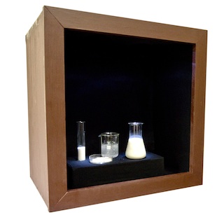 Vignette Cassirer: Vitrine Wissenschaft (Prototyp)