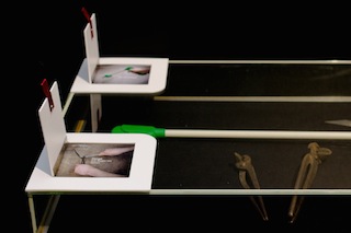 Vignette Heidegger: Tischvitrine (Klappen offen)