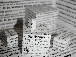 Vignette Wittgenstein (Pappmodell 2010)