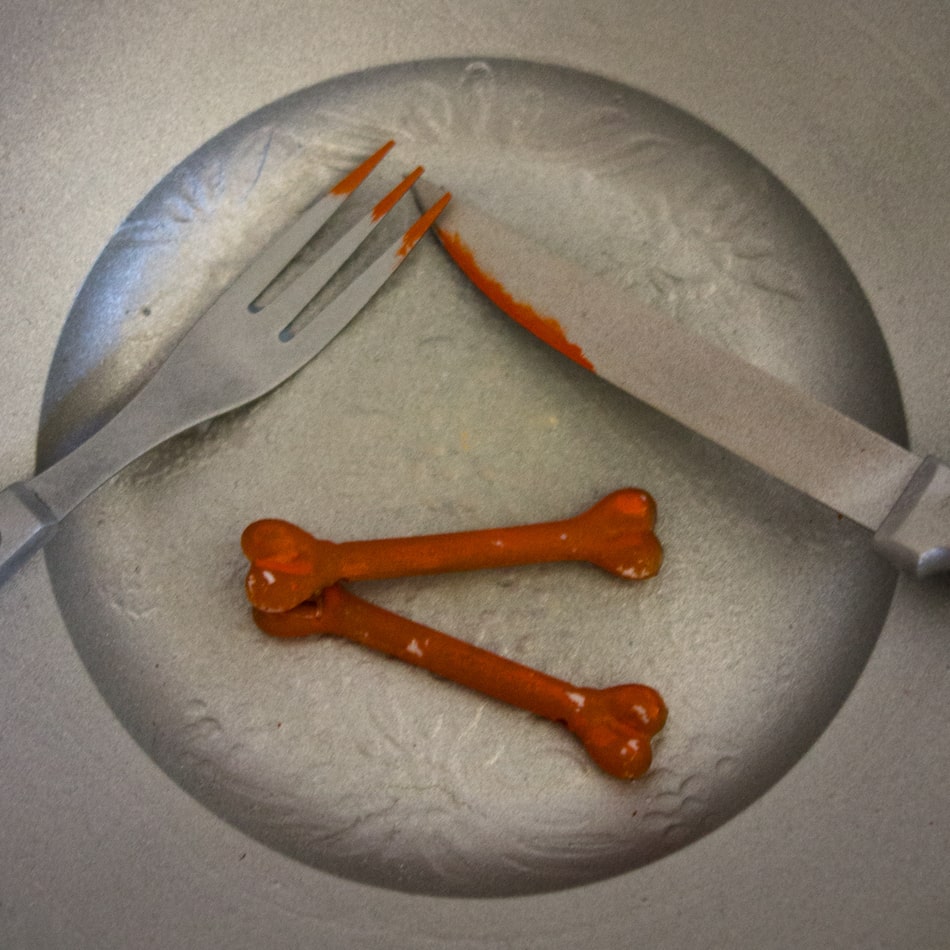 Teller Detailaufnahme mit zwei orangen Knochen