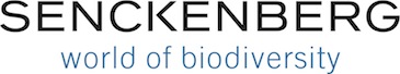 Logo Senckenberg